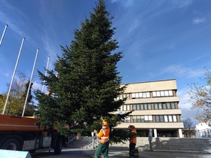 Christbaum vor dem Rathaus