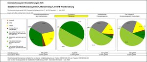Stromkennzeichnung 2025