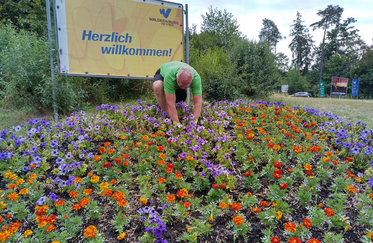 W wird gepflanzt W wird gepflanzt